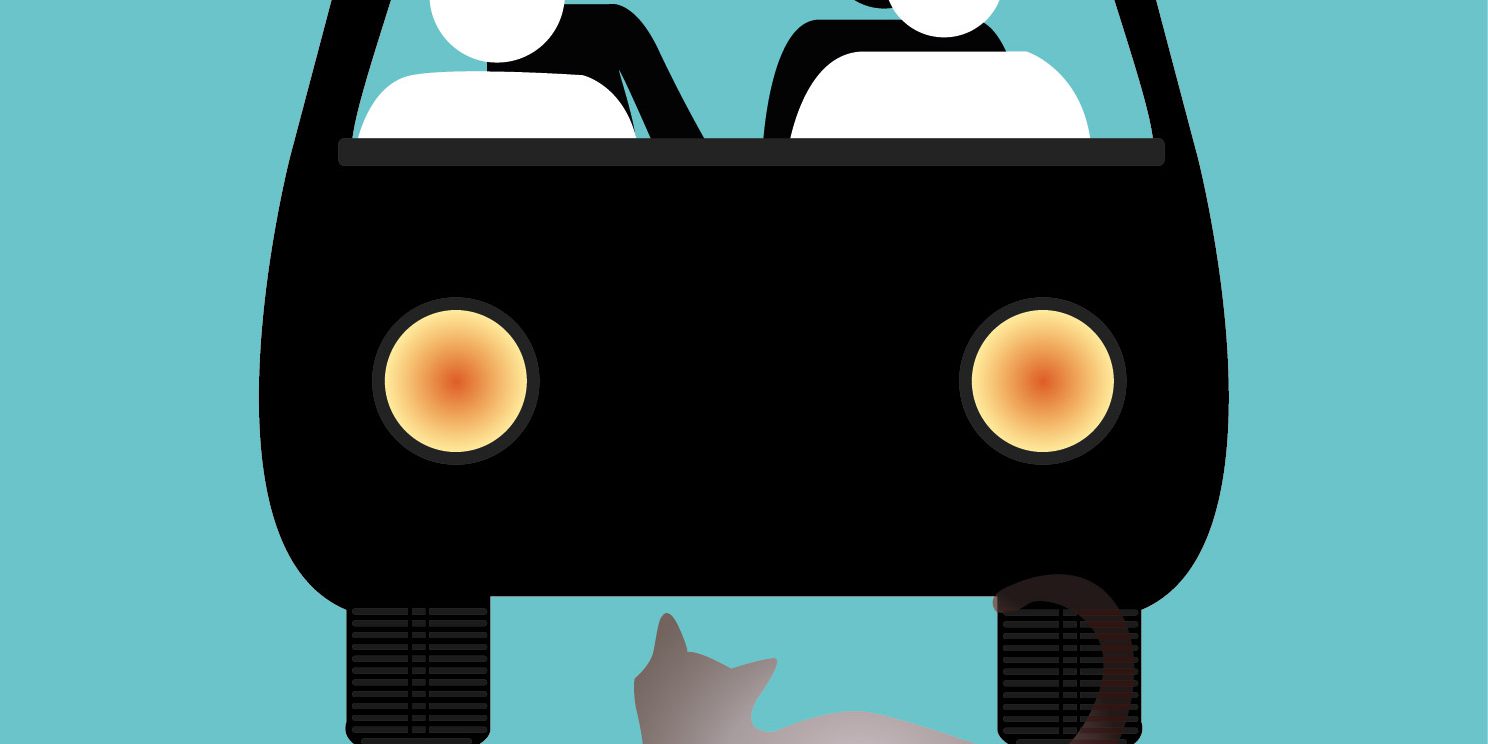 accidentes causados por personas o animales