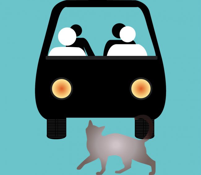 accidentes causados por personas o animales